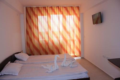 Hostal Guest House Kolev 2