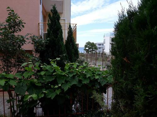 Apartments Ralitsa Complex Saint Vlas