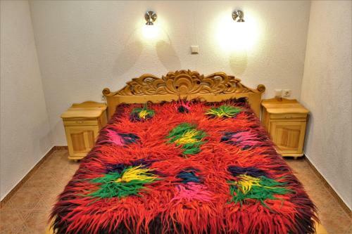 Hotel Sokay