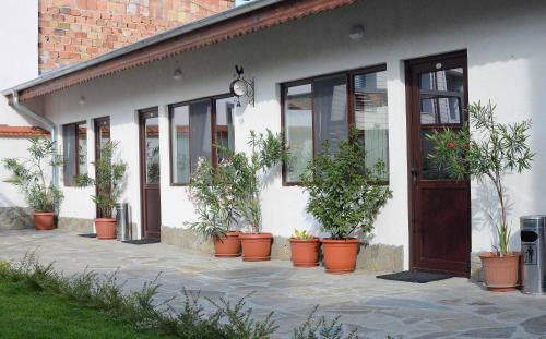 Hostal Guest House Dar