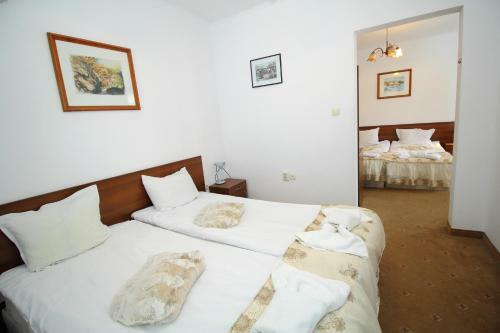 Family Hotel Izvora