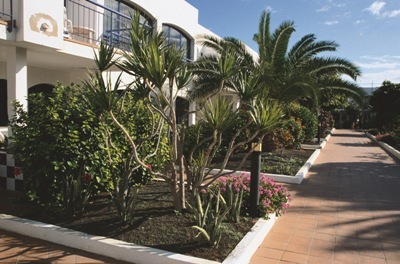 Apartamentos Las Palmeras I & II
