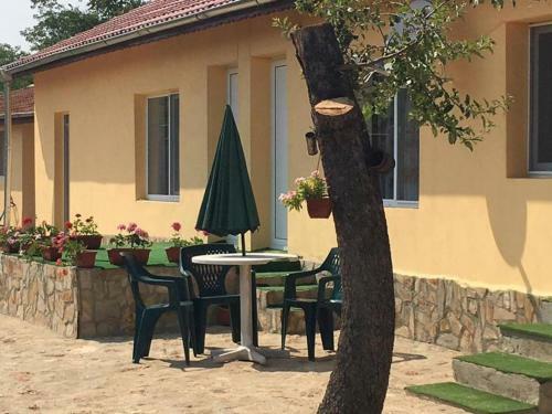 Hostal Guest House Viola