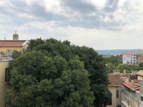 Yanov's Homestay