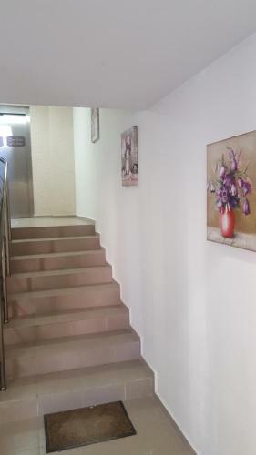 Sun Estate Residence Apartment