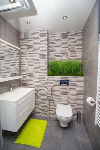 Apartamento Vista Suites