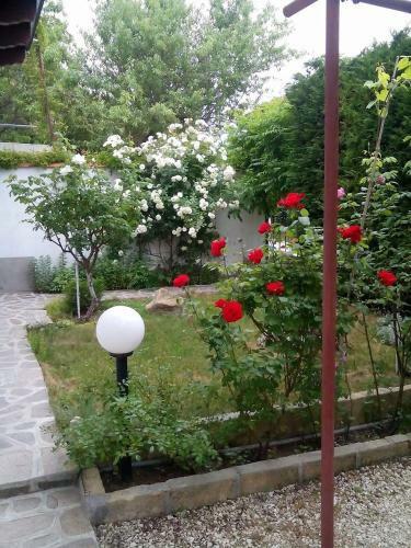 Hostal Guest House By The Captain