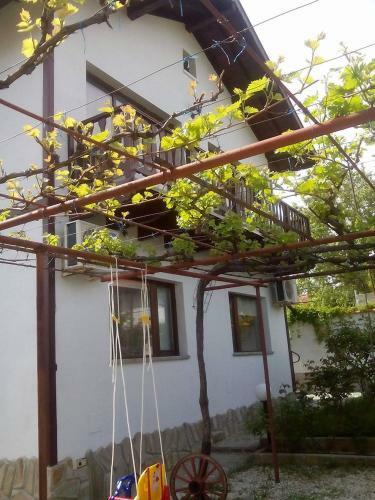 Hostal Guest House By The Captain
