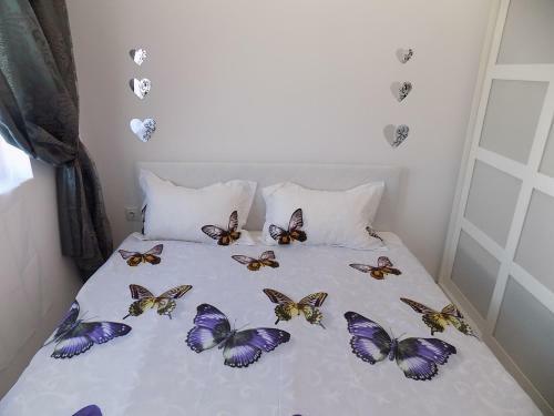 Apartment Silvi