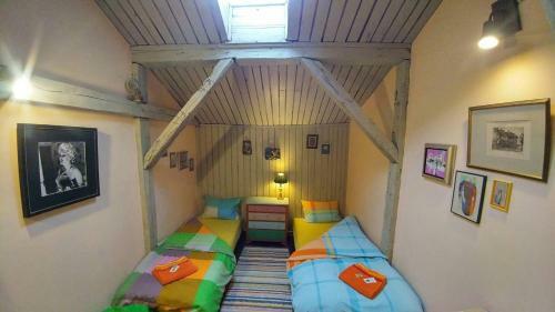 Rooster Hostel