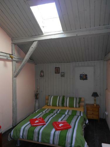 Rooster Hostel