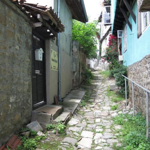 Rooster Hostel