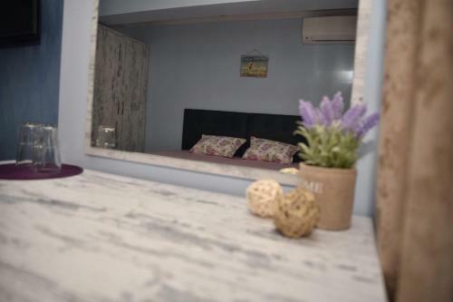 Apartamentos Studios Amigo
