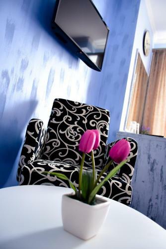 Apartamentos Studios Amigo