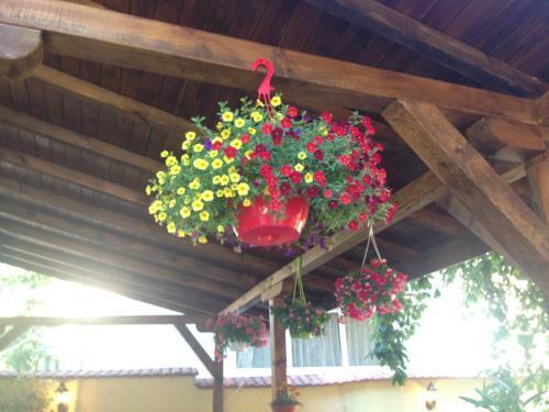 Hostal Guest House Pip