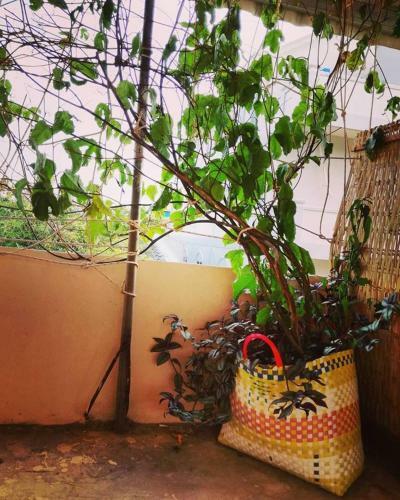 Hostal Stay In Kampot