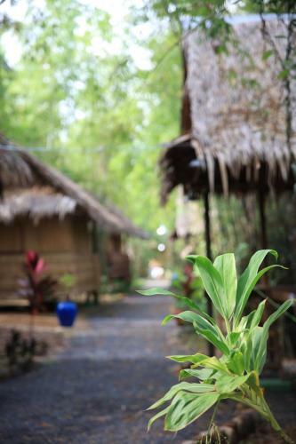 Hotel Daom Djah Spirit
