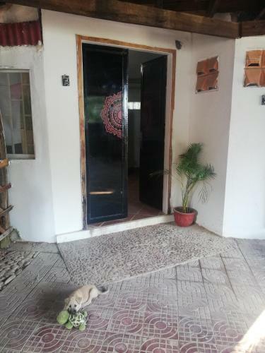 Hostal Man'groove Kep