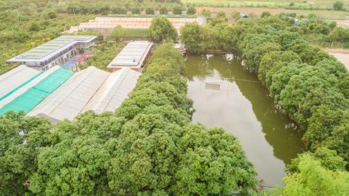 Amarak Farm