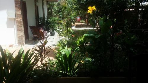 Siem Reap Friendly House