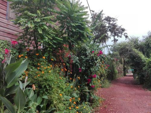 Chong Phov Khmer Homestay