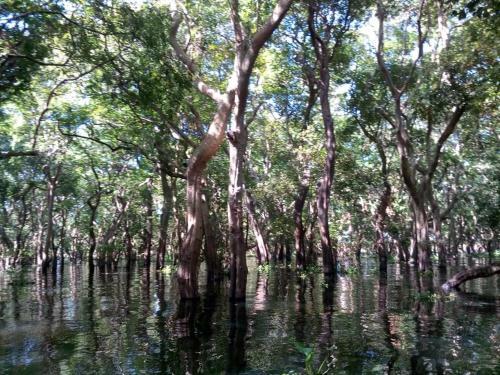 Chong Phov Khmer Homestay