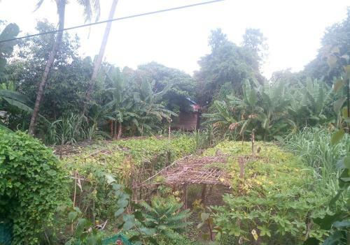 Chong Phov Khmer Homestay