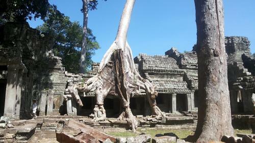 Chong Phov Khmer Homestay