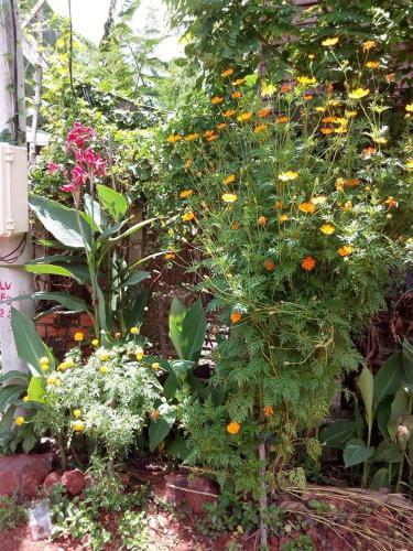 Chong Phov Khmer Homestay