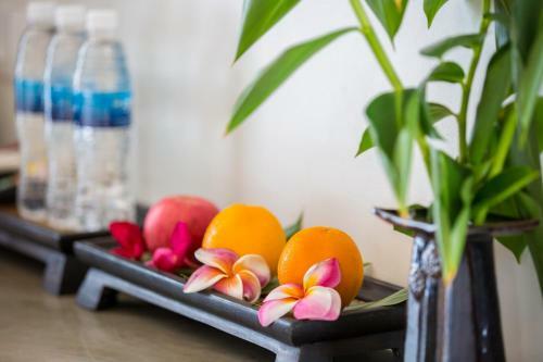 Hotel Natural House Siem Reap