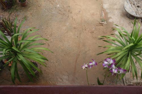 Agroturismo Yanick's Angkor Cottage