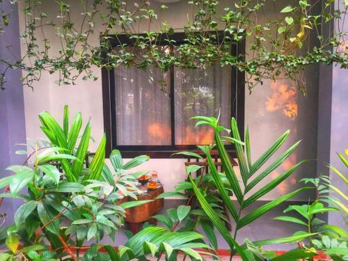 Hotel Green Stay Village