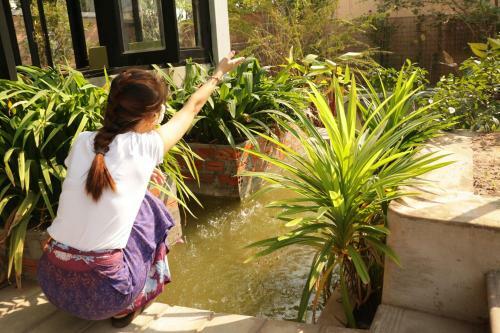 Hotel Angkor Angel Boutique Villa