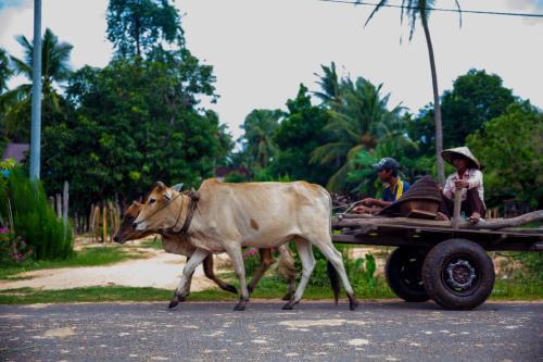 Prithy & Mutta (community Homestay Chansor 3)