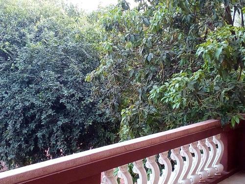 Hotel Mango Villa Siem Reap