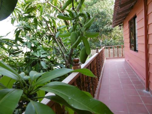 Andre Boutique Villa