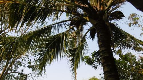 Andre Boutique Villa