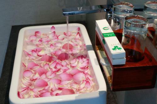 Zita Angkor Hotel