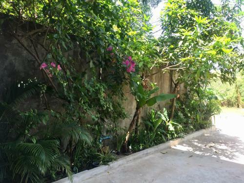 Apartamento Sevenstars Hostel