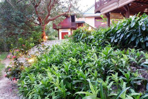 Hotel Samot Baitong Resort