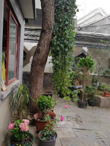 Ancient Chinese Courtyard Wangfujing