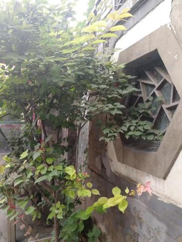 Ancient Chinese Courtyard Wangfujing