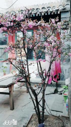 Ancient Chinese Courtyard Wangfujing