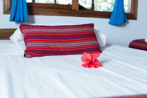 Hotel La Isla Inn