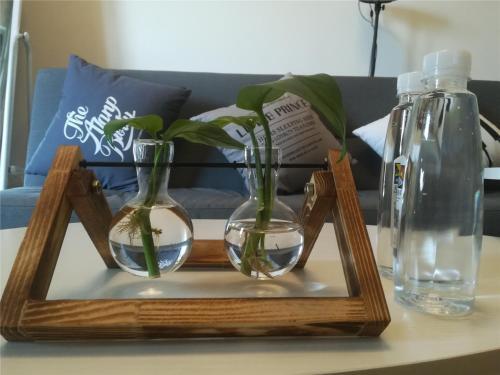 Lucky Leaf Apartment