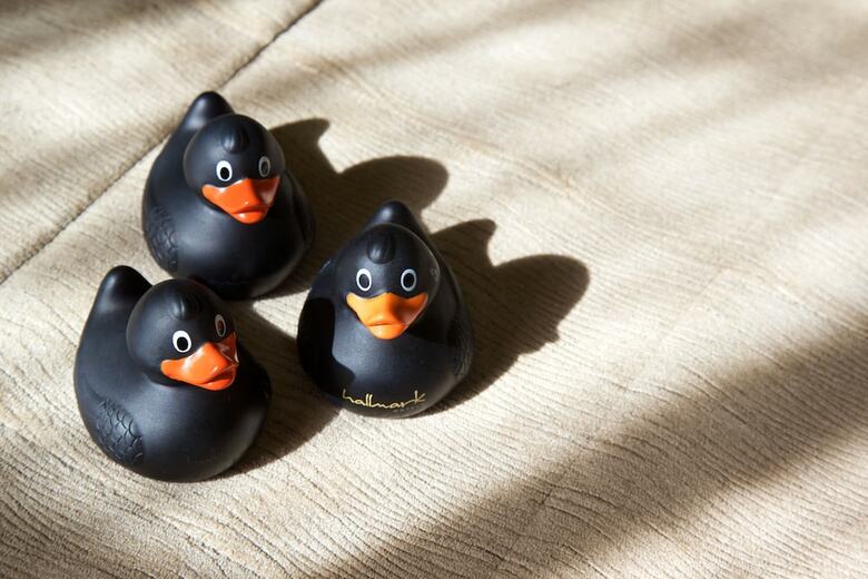 Best Western The Alicia Hotel