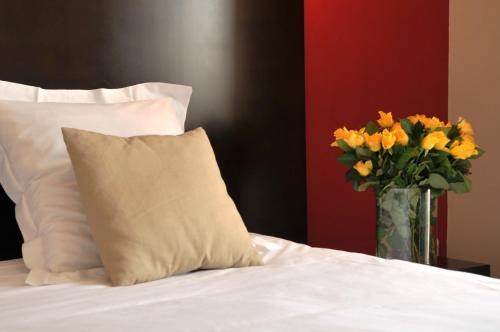 Hotel Canal Aigues Mortes