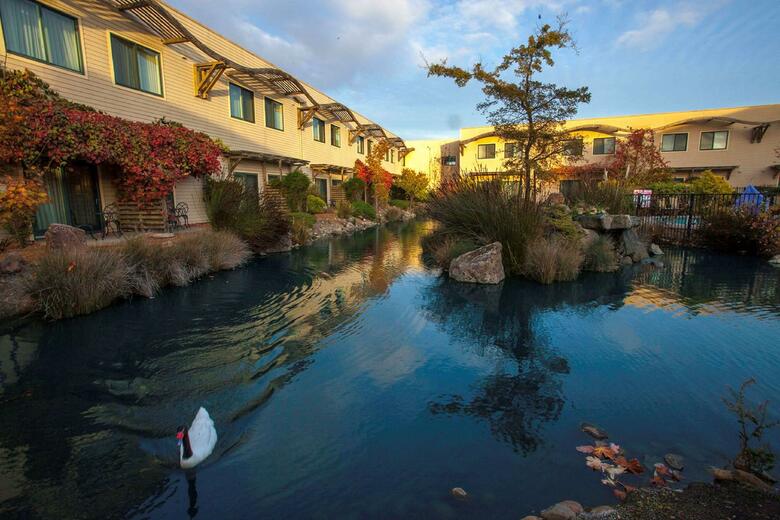 Doubletree By Hilton Hotel & Spa Napa Valley-american Canyon