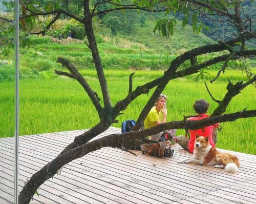 Hostal Beyond The Terrace Residence