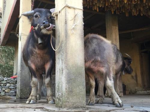 Hostal Beyond The Terrace Residence